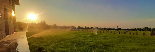 Tramonto su prato seminato Modena e provincia Green River Gardens